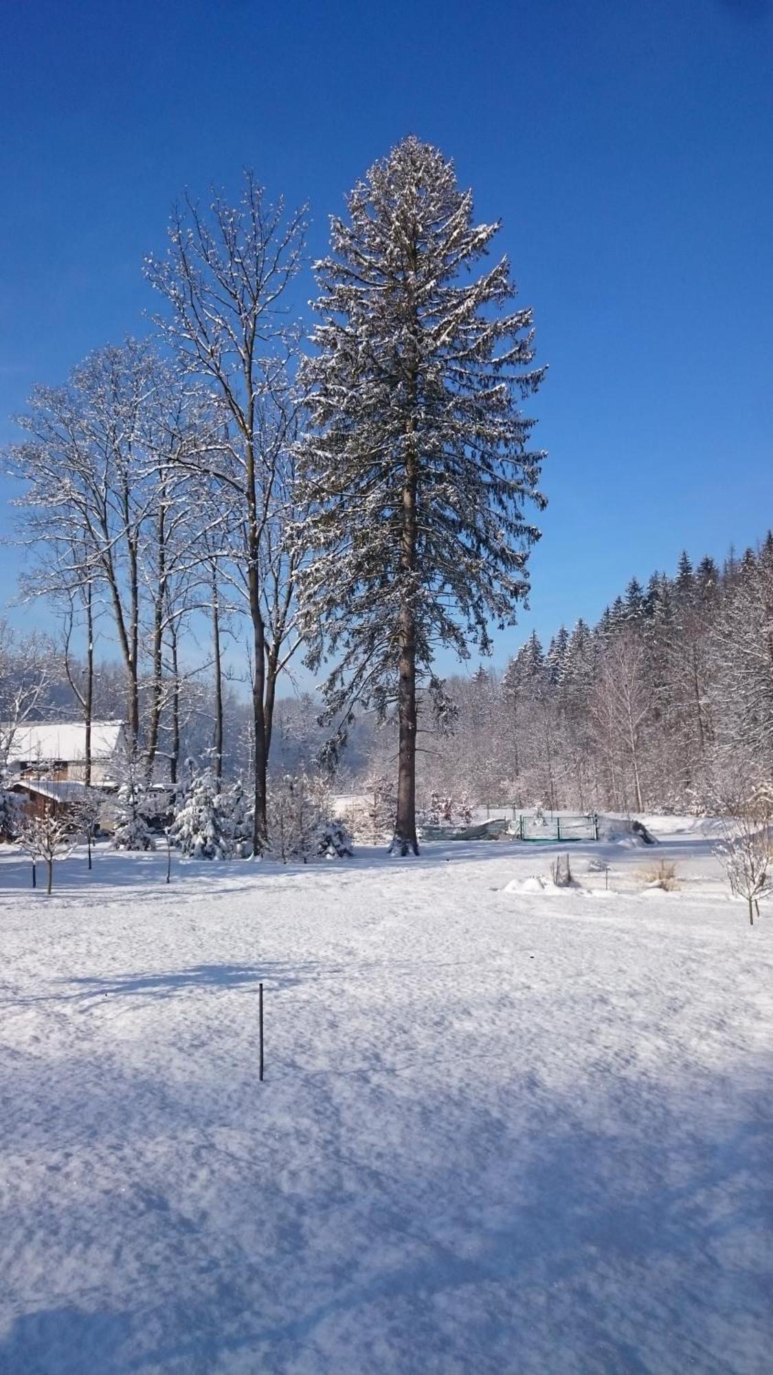 Voda Cz Homestay