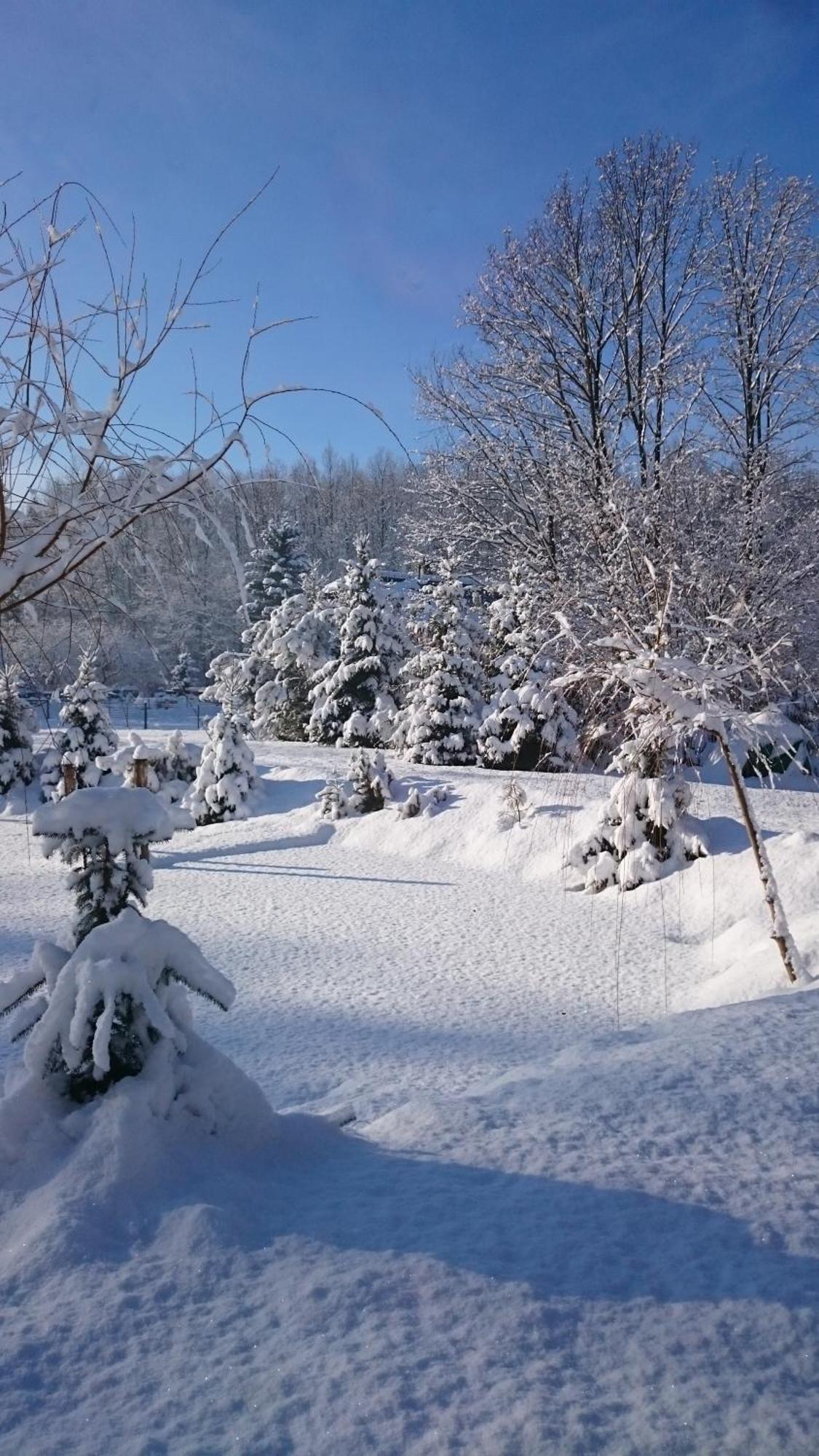 Homestay Voda Cz Baska